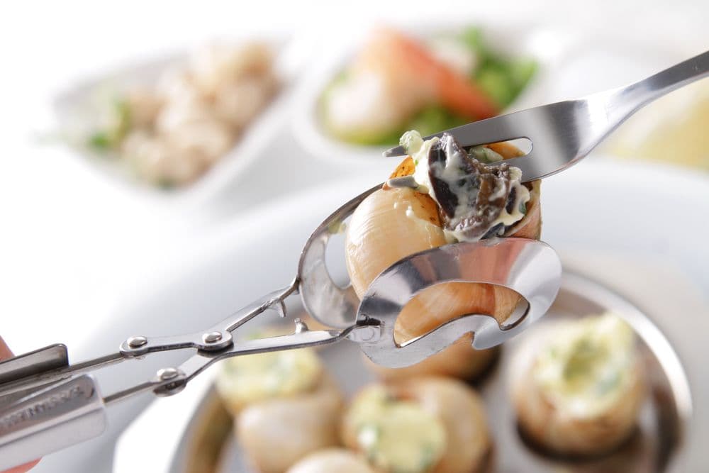 Csigafogó csipesz - 2 db - 2 db. - (L)170mm - 2